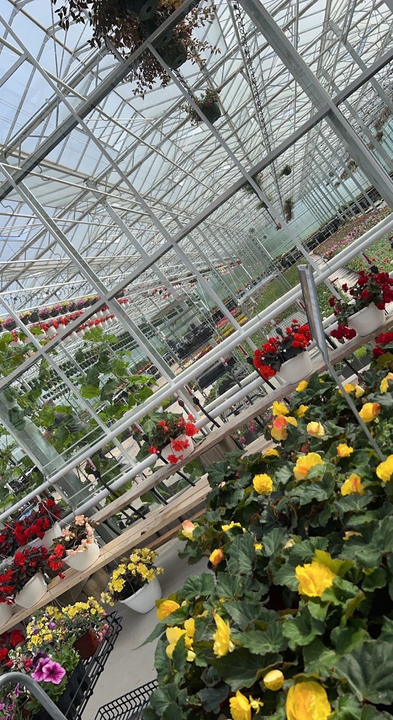 Vaandrager Nurseries