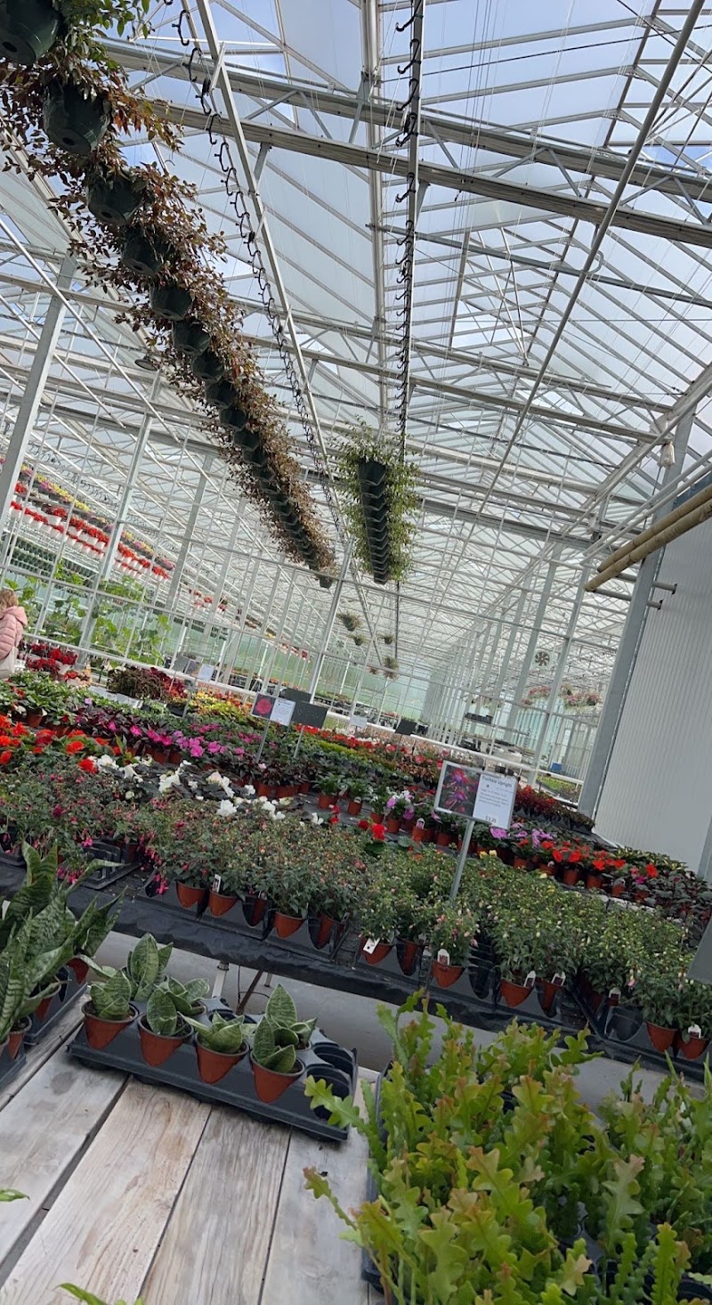 Vaandrager Nurseries 3