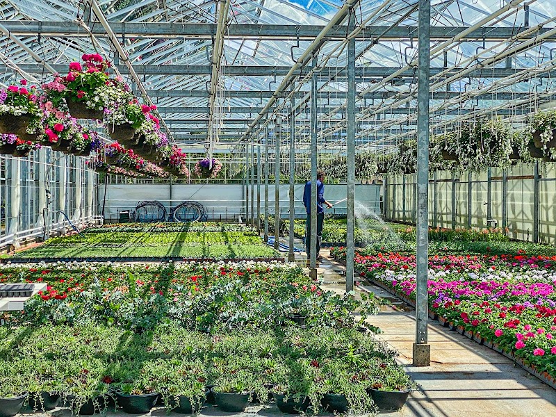 Vaandrager Nurseries 5