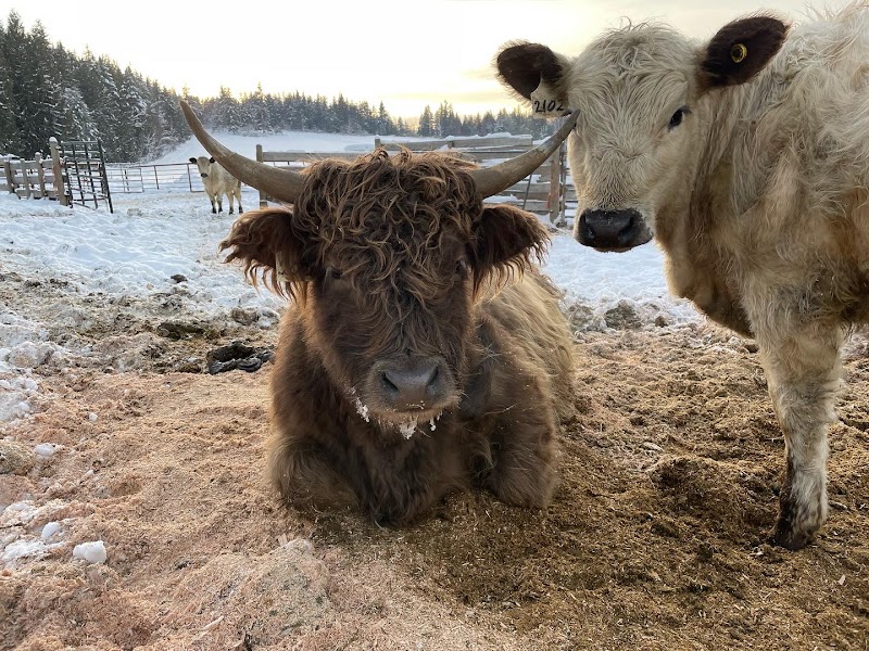Valley Farm 4