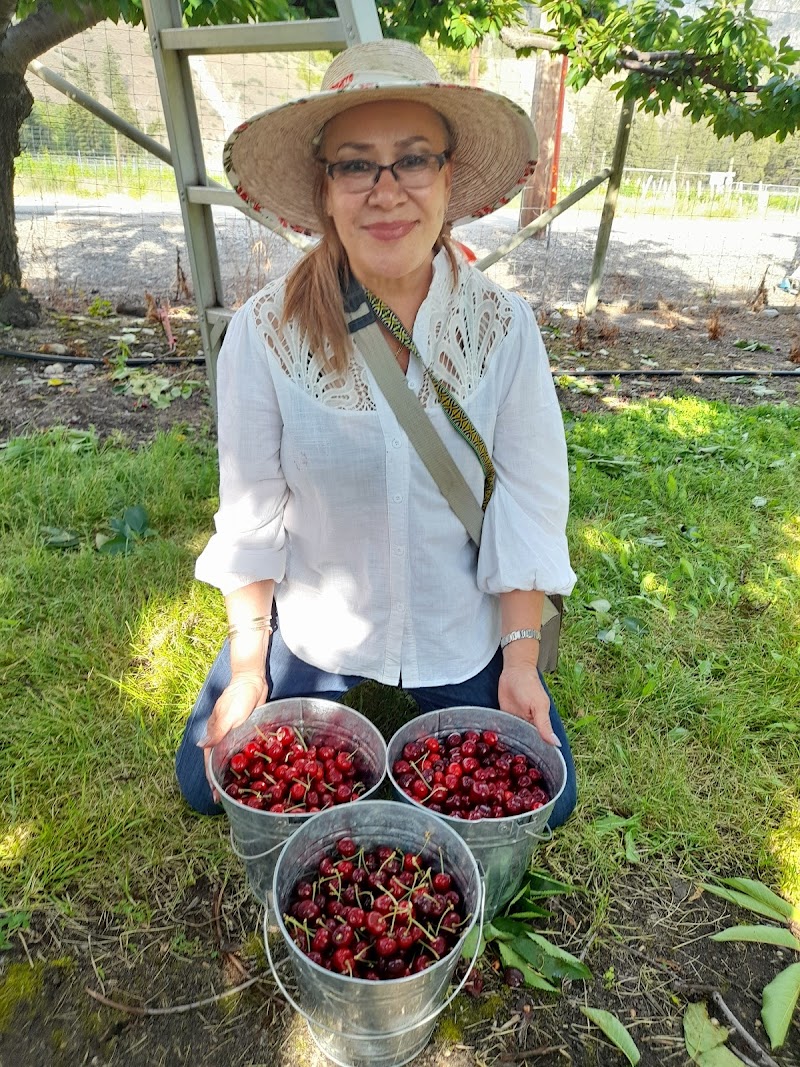 Valley Farms Fruit Stand 4