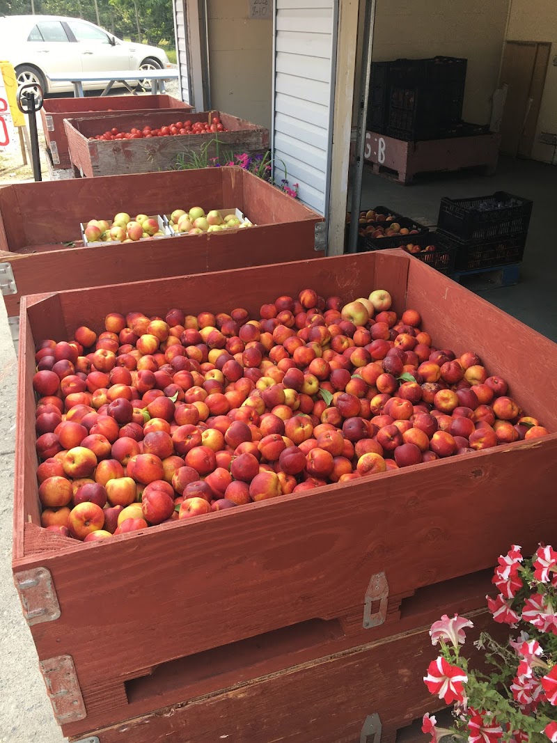 Valley Farms Fruit Stand 5