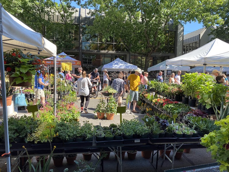 Vancouver Farmers Market 3