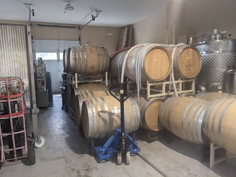 Vivezza Vineyard 4
