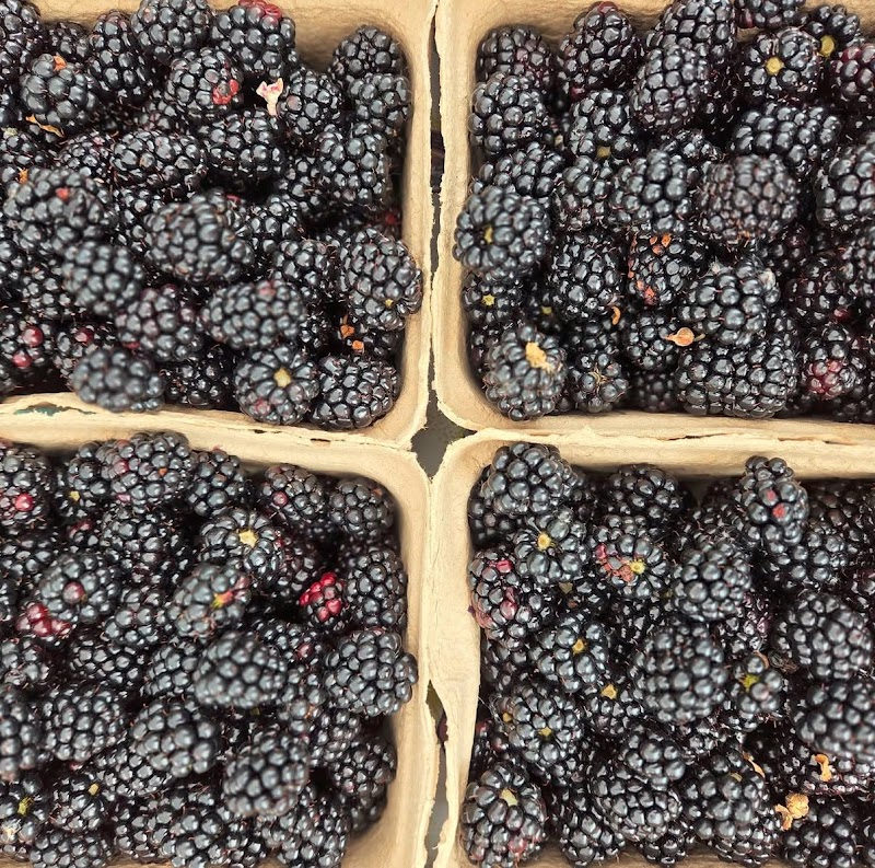 VK Fruit Farm 2