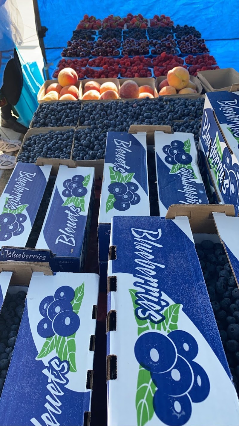 VK Fruit Farm 5
