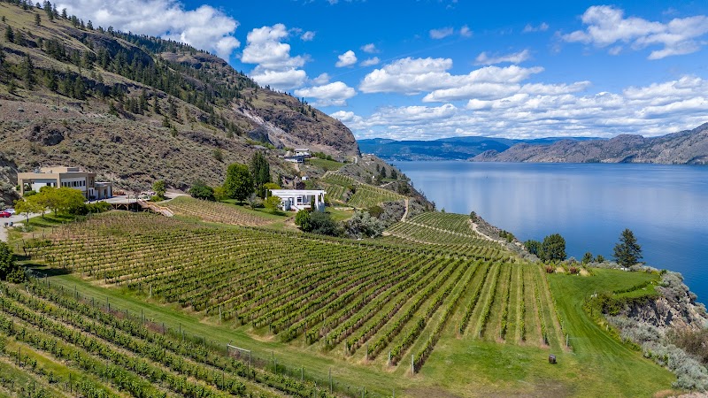 Vows & Vines Vineyard