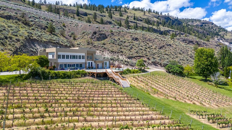 Vows & Vines Vineyard 4