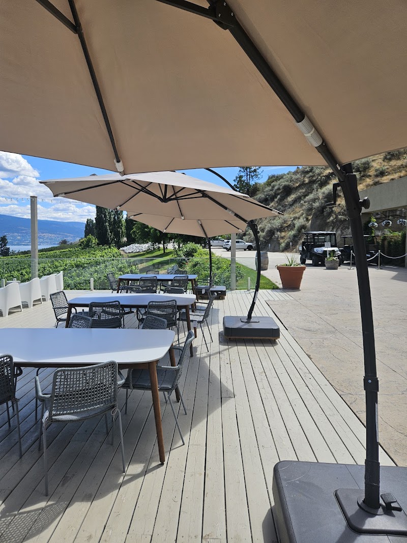 Vows & Vines Vineyard 5
