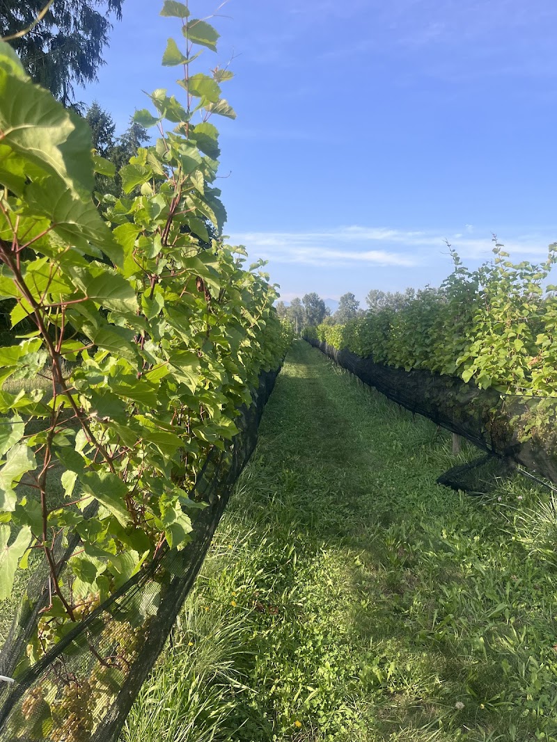 Whispering Horse Winery 5