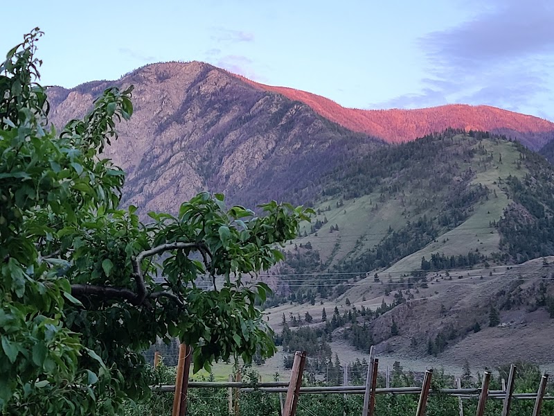 Wild at Heart Organic Orchard (Blush Lane) 2