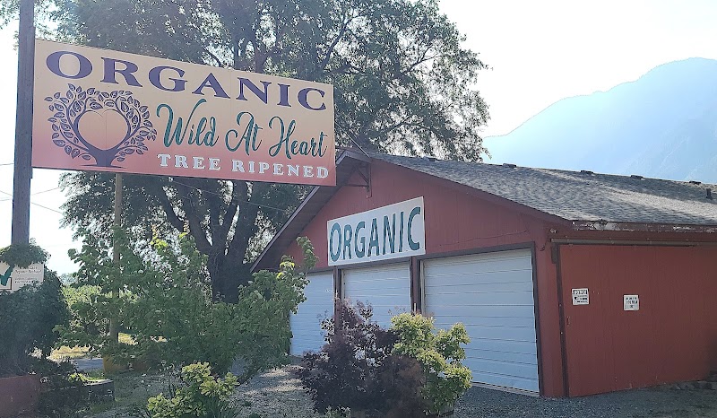 Wild at Heart Organic Orchard (Blush Lane) 4