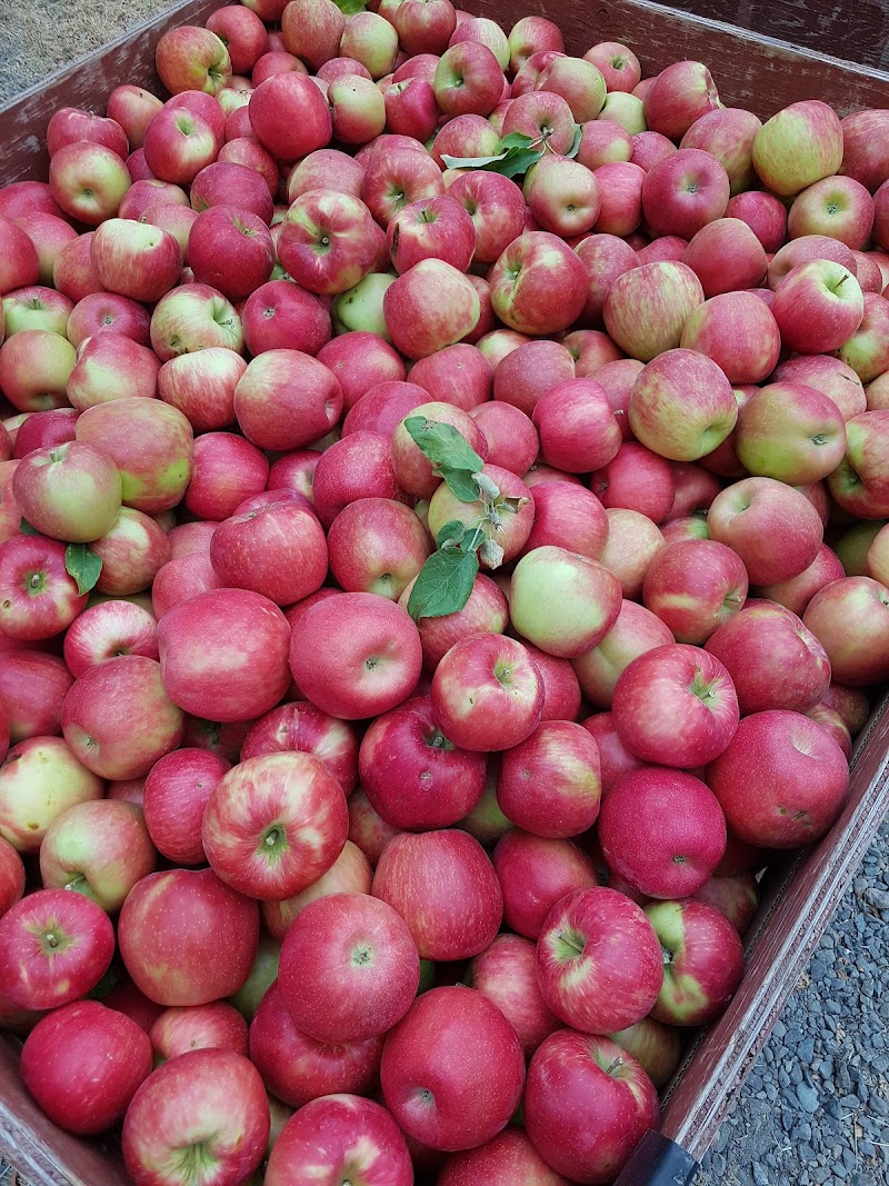 Wild at Heart Organic Orchard (Blush Lane) 5