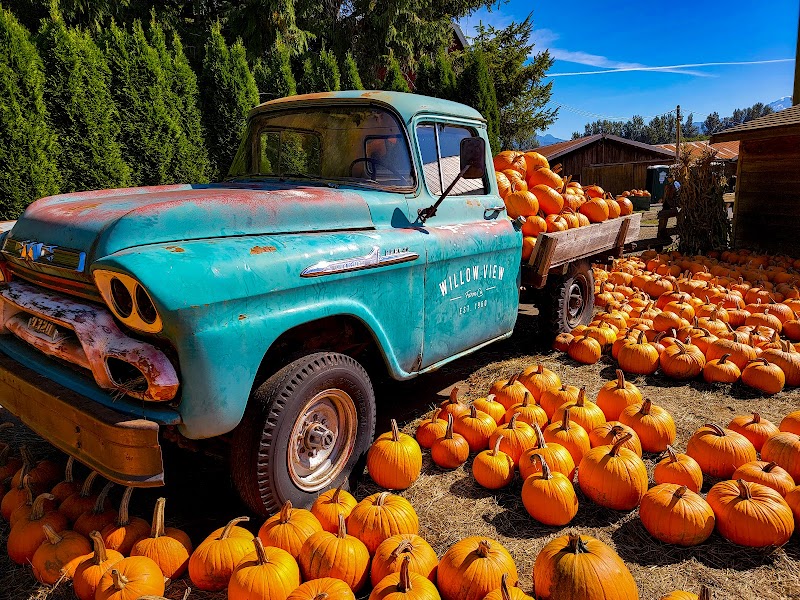 Willow View Farms 2