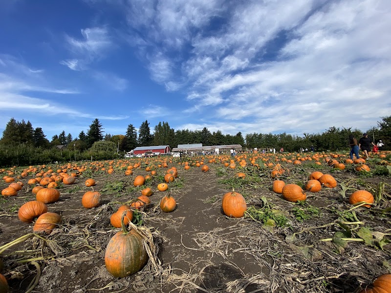 Willow View Farms 3