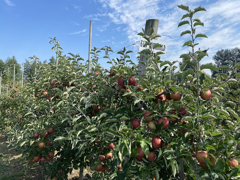 Willow View Farms 4