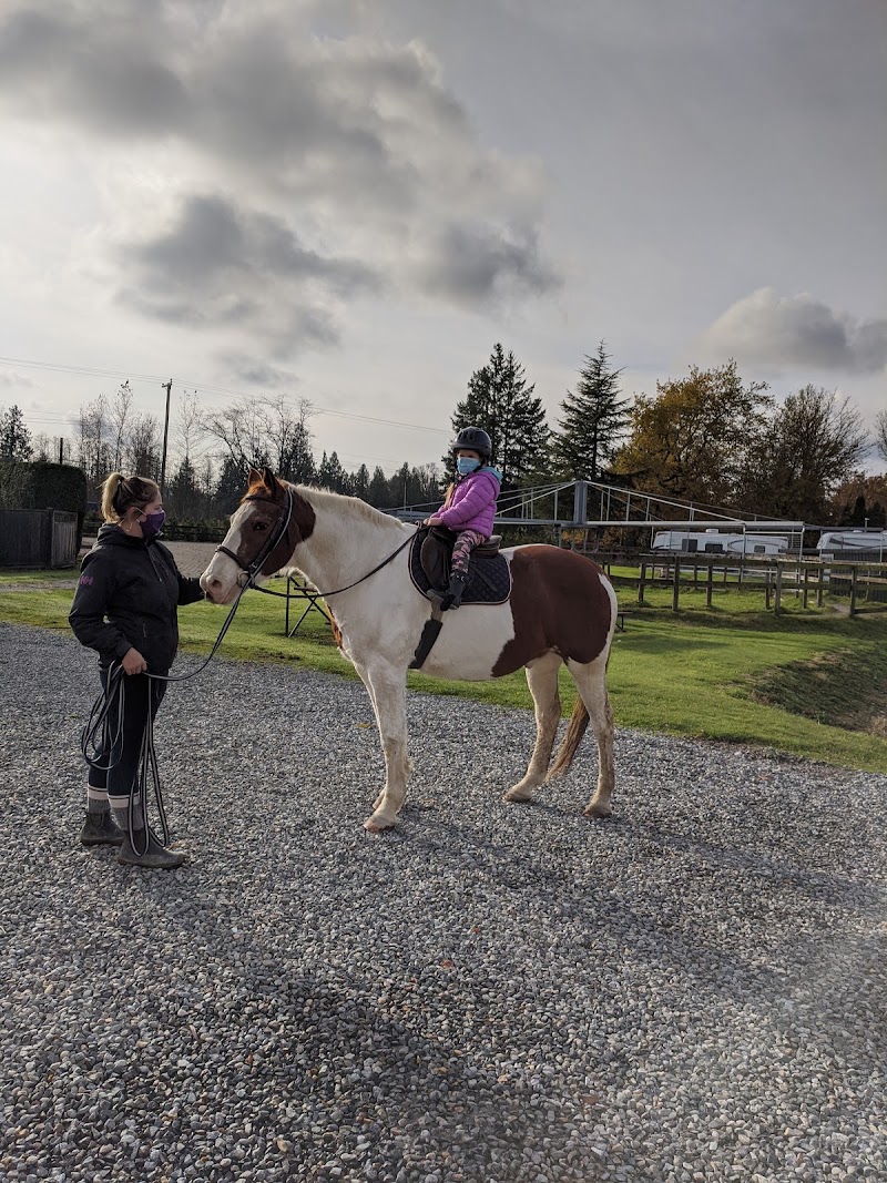 Windsor Stables