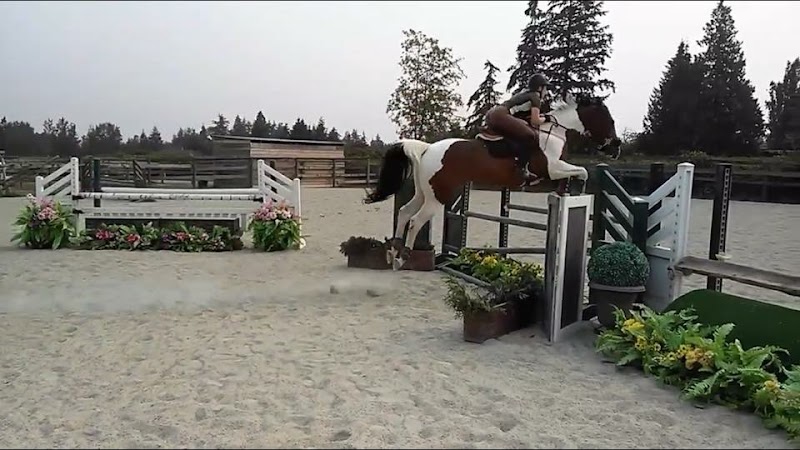 Windsor Stables 2