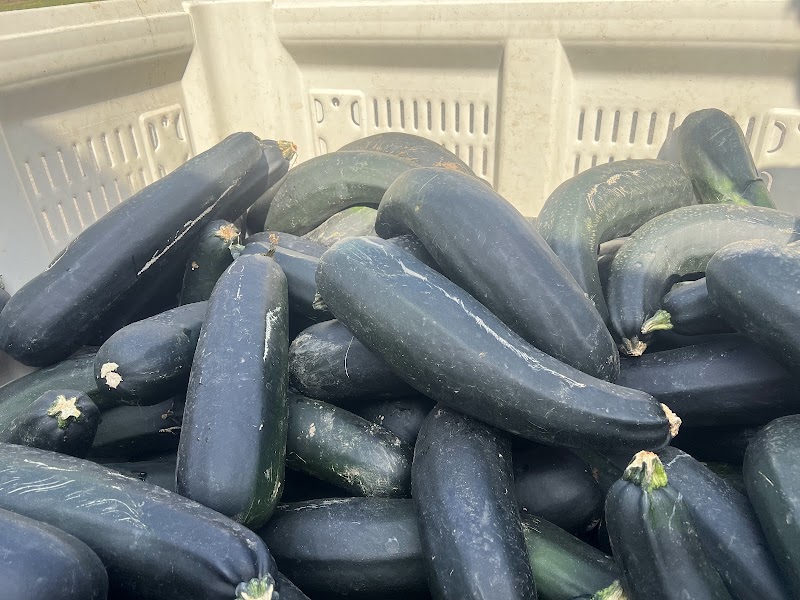 Wisbey Veggies 3