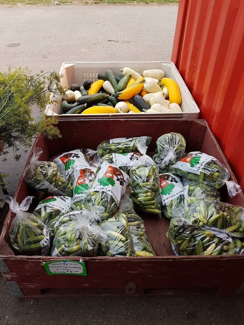 Wisbey Veggies 5