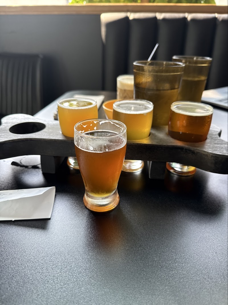 Yellow Dog Brewing Co 4