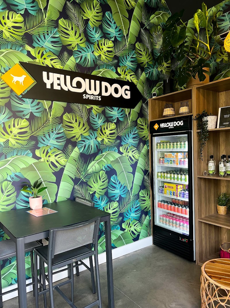 Yellow Dog Spirits
