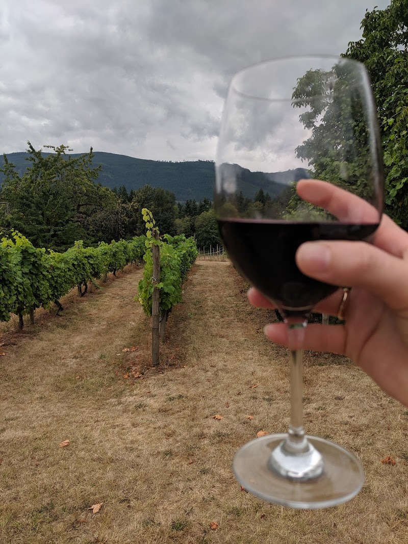 Zanatta Estate Winery 3