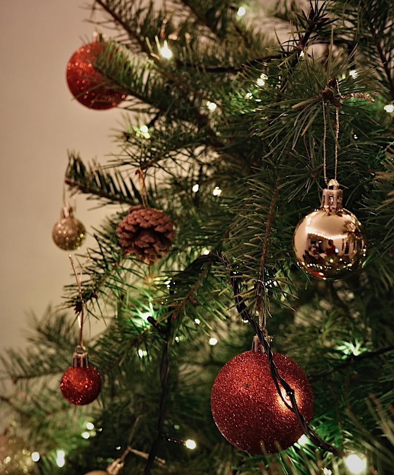 Z&Z Christmas Trees 2