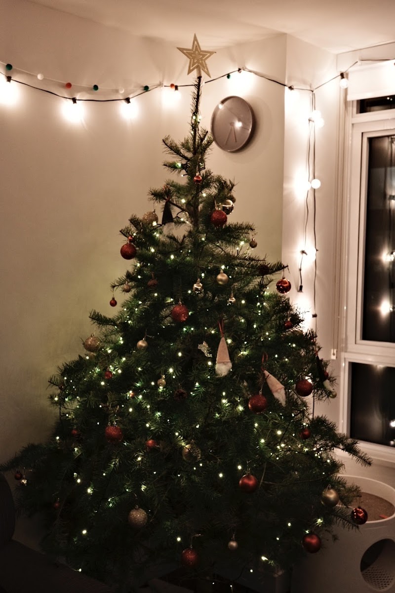 Z&Z Christmas Trees 3