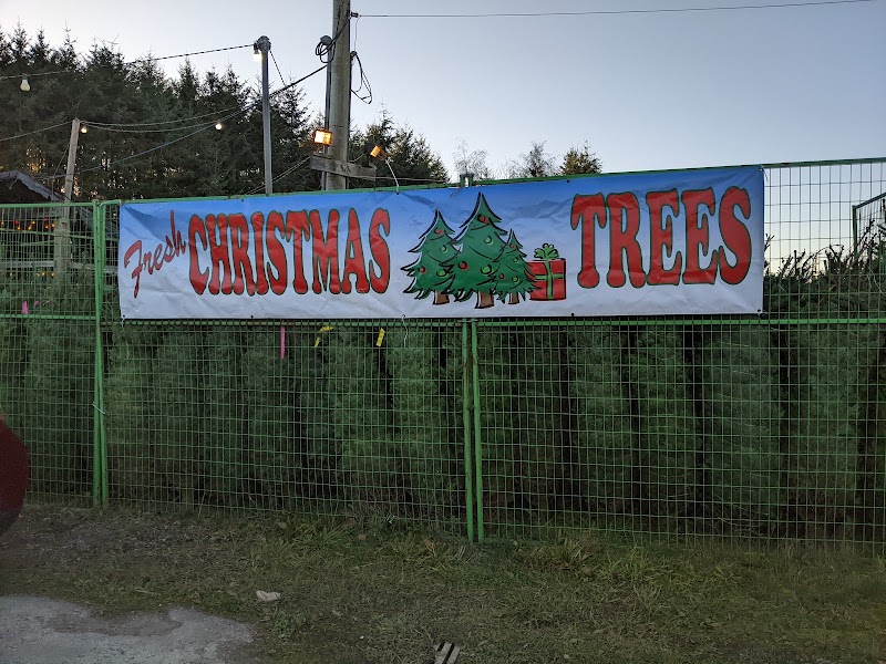 Z&Z Christmas Trees 4
